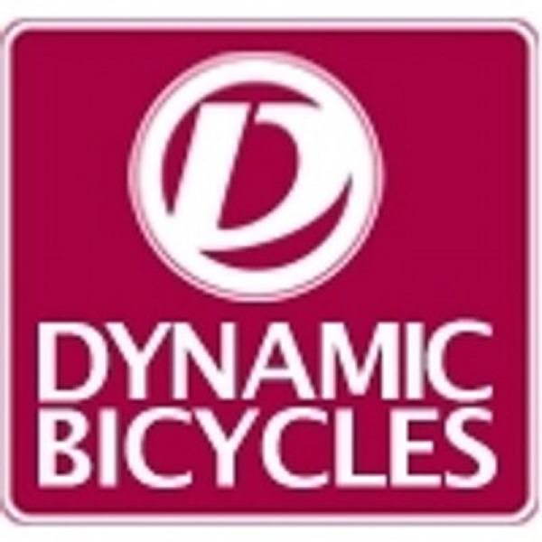 Dynamiske cykler