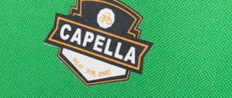 Capella børnecykler - fordele og ulemper, tips til valg