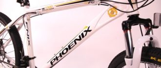 Phoenix cykel - fordele og ulemper, tips til valg