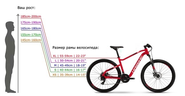 størrelsen af cykelrammen efter højde